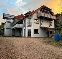 Möblierte,moderne 2ZKB EG-Wohnung mit Terrasse&Carport - Altenglan