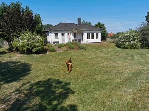 Foto - Müritz Ferienhaus mit Hund -15.8.- 31.8.25