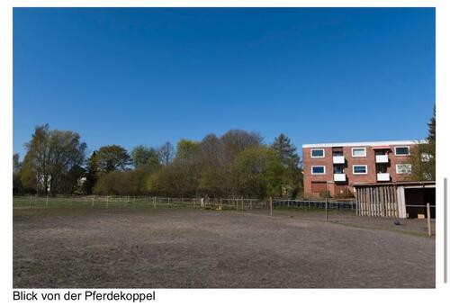 Foto - 1-Zimmer-Wohnung - 640,00&nbsp;EUR Kaltmiete, ca.&nbsp; 35,00&nbsp;m&sup2;