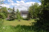 Foto - Grundstück in Waldeck zur Miete