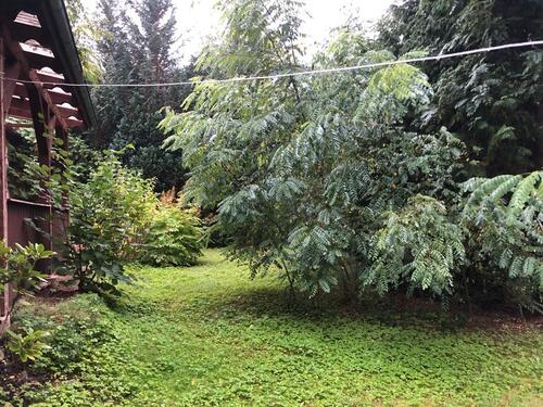 Foto - 4 Zimmer Einfamilienhaus in Fürstenberg/Havel