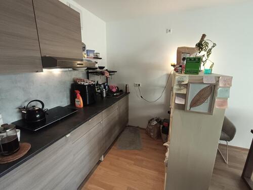 Foto - 2 Zimmer Erdgeschoßwohnung zur Miete in Nürnberg