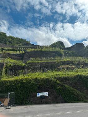 Foto - Weinberg von privat zu verpachten