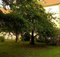 Charmante 3.5 Zi Wohnung an ruhiger Lage von Treuchtlingen