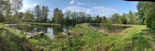 Foto - Teichgrundstück in 21271 Hanstedt