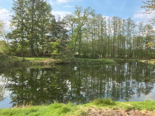 Foto - Grundst&uuml;ck in Jesteburg zur Miete