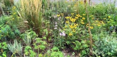 Foto - Garten zu verpachten - 195,00 EUR Kaltmiete, ca.  0,00 m²