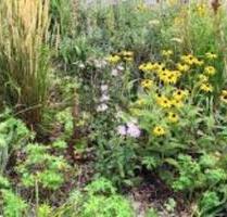 Garten zu verpachten - 195,00 EUR Kaltmiete, ca.  0,00 m² in Köln (PLZ: 51069) Mülheim