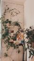 Foto - Wohnung in Bamberg zur Zwischenmiete, 40 qm für 1-2 Personen