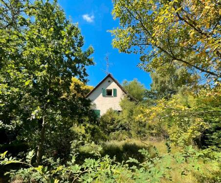 Foto - Zwei Häuser auf einem paradiesischen Grundstück
