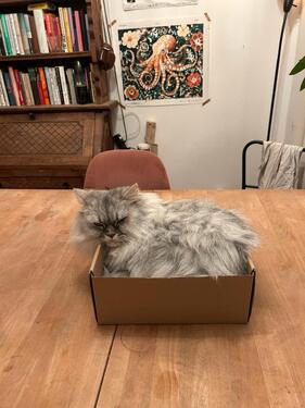 Foto - Etagenwohnung zur Miete in Berlin