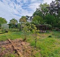 Kleingarten Schrebergarten in Dannebüttel abzugeben - Sassenburg