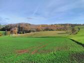 Foto - Grundstück in Cloppenburg