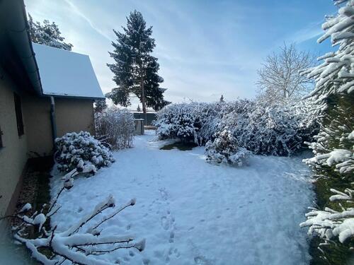 Foto - 1 Zimmer Bungalow zur Miete in Berlin