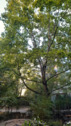 Foto - andere zur Miete in Potsdam