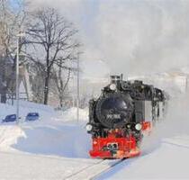 Ferienwohnung Skilift Sauna Fitness Massage bei Oberwiesenthal - Crottendorf
