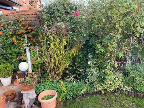 Foto - 5 Zimmer Einfamilienhaus in Schwerin