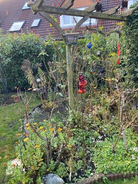 Foto - Einfamilienhaus in Schwerin zum Kaufen