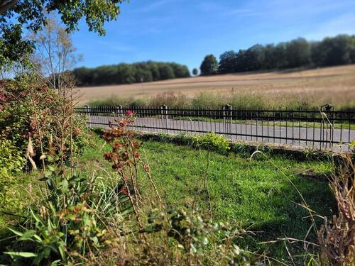 Foto - 2-Raumwohnung in Geltow mit Garten und Terasse