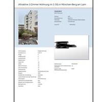 Renovierte 3-Zimmer Wohnung 88qm, Berg am Laim I München