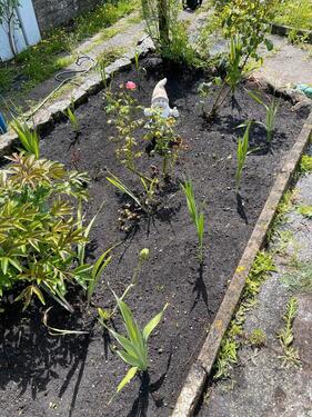 Foto - Grundst&uuml;ck in Eggesin zur Miete