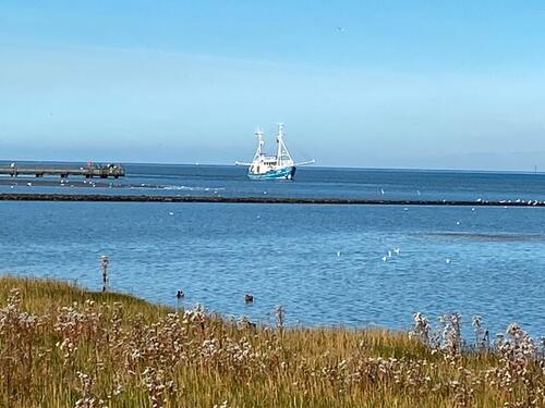 Foto - Ferienwohnung an der Nordsee in Burhave