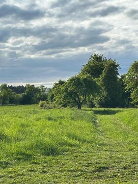 Foto - Grundstück in einzigartiger Lage mit hohem Erholungswert im nördl