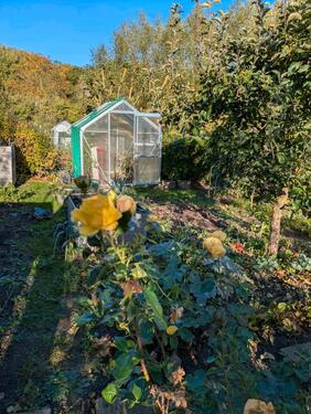 Foto - Grundstück in Wismar zur Miete