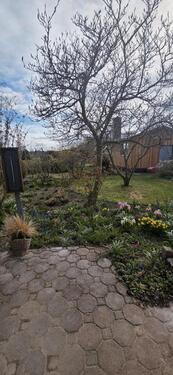 Foto - ANFRAGESTOP Haushälfte unter Reet fußläufig zur Schlei