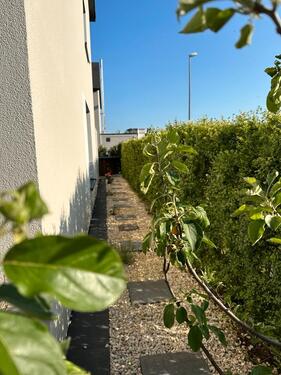 Foto - 4.5 Zimmer Reihenhaus in Stockstadt am Rhein