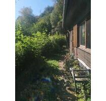 FerienWochenendhäuschen nähe Holzerather See - Pluwig