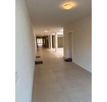 1-Zimmer-Wohnung in ruhiger Lage mit Einbauküche - Dresden Prohlis