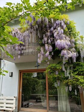 Foto - Etagenwohnung in München zur Miete