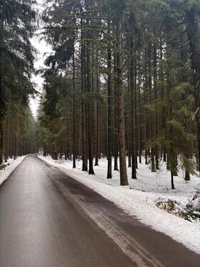 Foto - Grundst&uuml;ck zur Miete in Pleystein