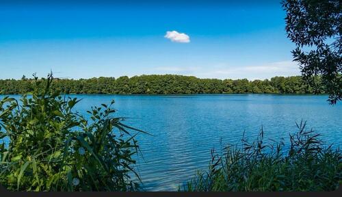 Foto - Betreutes wohnen Demenz Senioren Wohngemeinschaft