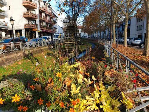 Foto - MERZIG FUßGÄNGERZONE - Mitten drin und trotzdem ruhig