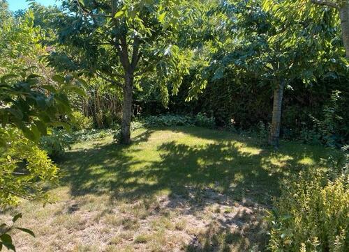 Foto - Grundst&uuml;ck in Sömmerda