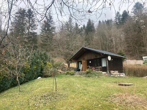 Foto - Kleingarten Garten Pachtgarten Suhl