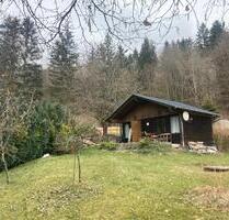Kleingarten Garten Pachtgarten Suhl