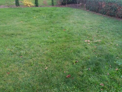 Foto - andere zur Miete in Handorf