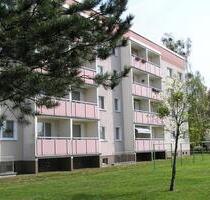 3-Raum-Wohnung im Grünen! - 250,00 EUR Kaltmiete, in Wittenberg Lutherstadt (PLZ: 06888) Euper