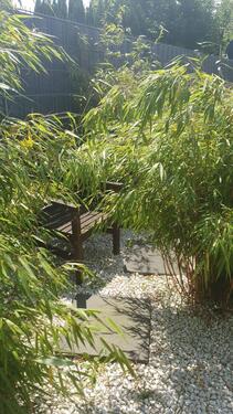 Foto - Charmantes Zechenhaus in GE Hassel