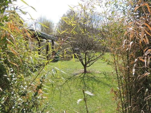 Foto - Grundst&uuml;ck in Kleinmachnow zur Miete