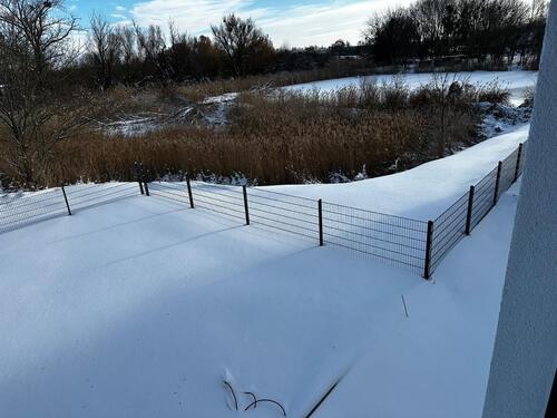 Foto - 4 Zimmer Doppelhaushälfte in Barleben