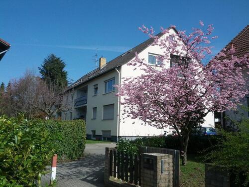 Foto - helle geräumige 3,5 Zi.Souterrain Wo. 113m² ideale Lage Alsbach