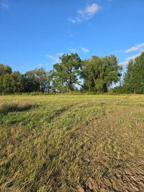 Foto - Baugründstück in Kaliningrad Gurjewsk dorf Derewenskoe