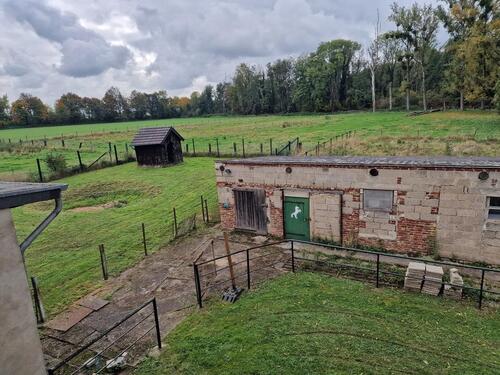 Foto - 7 Zimmer Bauernhaus, Landhaus in Vettweiß