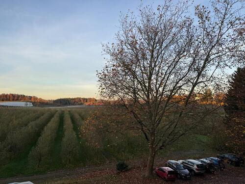 Foto - Etagenwohnung in Friedrichshafen zur Miete