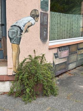 Foto - Mitbewohnerin - 350,00 EUR Kaltmiete,
