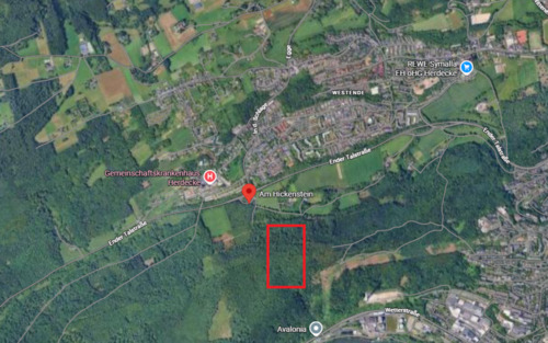 Foto - 3,2 Hektar Wald Stadtrand Herdecke für Holzeischlag zu verpachten